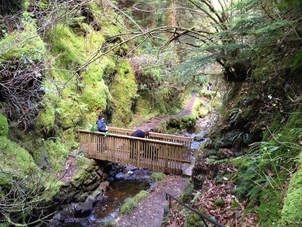 Pucks Glen Lodges, Rashfield, By Dunoon Esterno foto